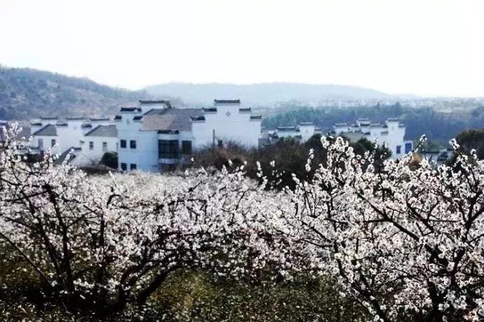 用法治方式更好维护国家和人民利益（思想纵横）